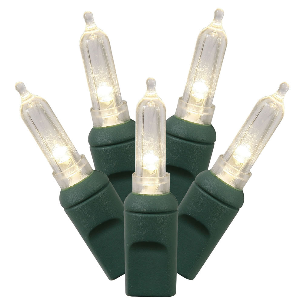 Vickerman 50 Warm White Italian LED Light on Green Wire 25' Christmas Single Mold Light Strand