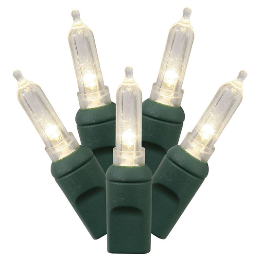 Vickerman 50 Warm White Italian LED Light on Green Wire 25' Christmas Single Mold Light Strand