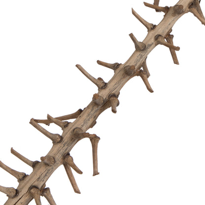 Vickerman Natural Botanicals 32" Coco Exotica Natural 2   pieces per Pack.