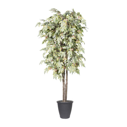 Vickerman 6' Artificial Frosted Maple Deluxe Tree Gray Round Plastic Container.