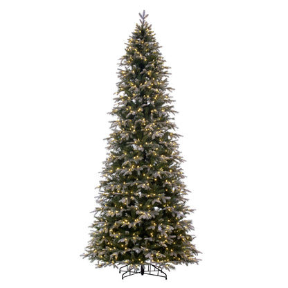 Vickerman 10' x 54" Frosted Douglas Fir Artificial Pre-Lit Christmas Tree Warm White LED Mini Lights.