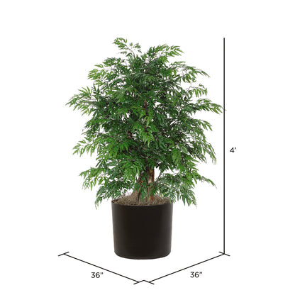 Vickerman 4' Artificial Ming Aralia Extra Full Bush Black Plastic Pot.