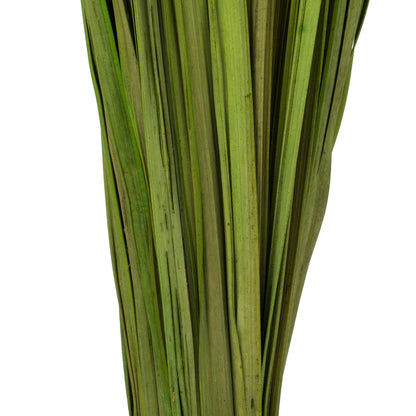 Vickerman 28-32" Basil Wild Flax Grass. Comes in 12oz (3 -4 oz Bundles) Dried