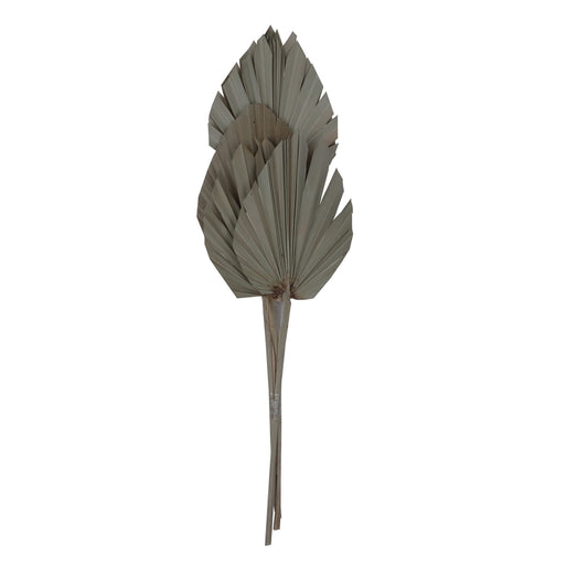 Vickerman Natural Botanicals 20" Natural King Palm Spear. Includes 10 Pieces per Bunch.