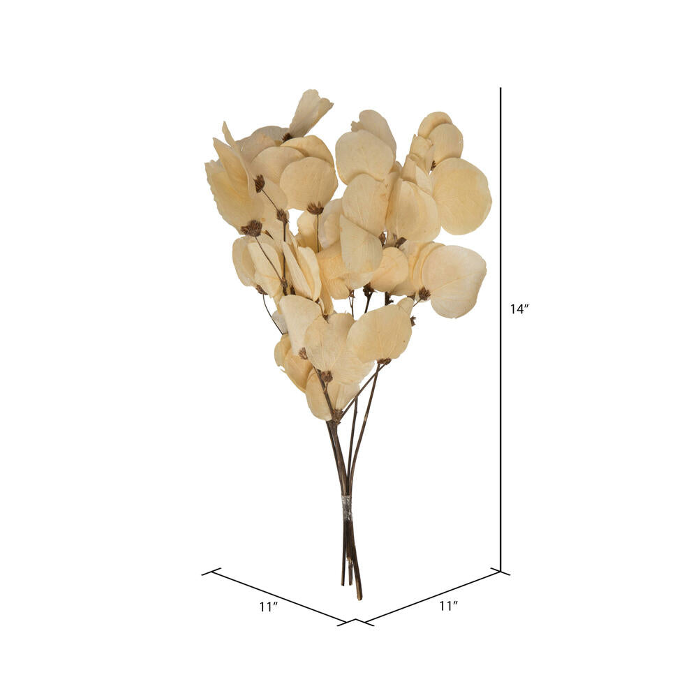 Vickerman 13.5-17" Bleached Dried Moneta Leaf on Twig Bundle Preserved.
