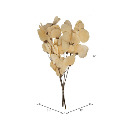 Vickerman 13.5-17" Bleached Dried Moneta Leaf on Twig Bundle Preserved.