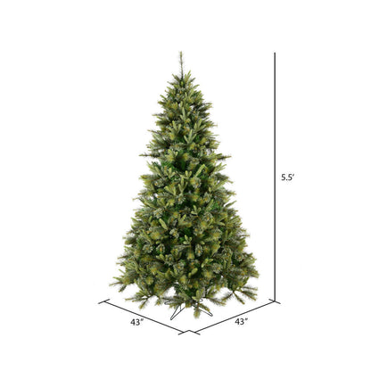 Vickerman 5.5' Cashmere Pine Artificial Christmas Tree Unlit