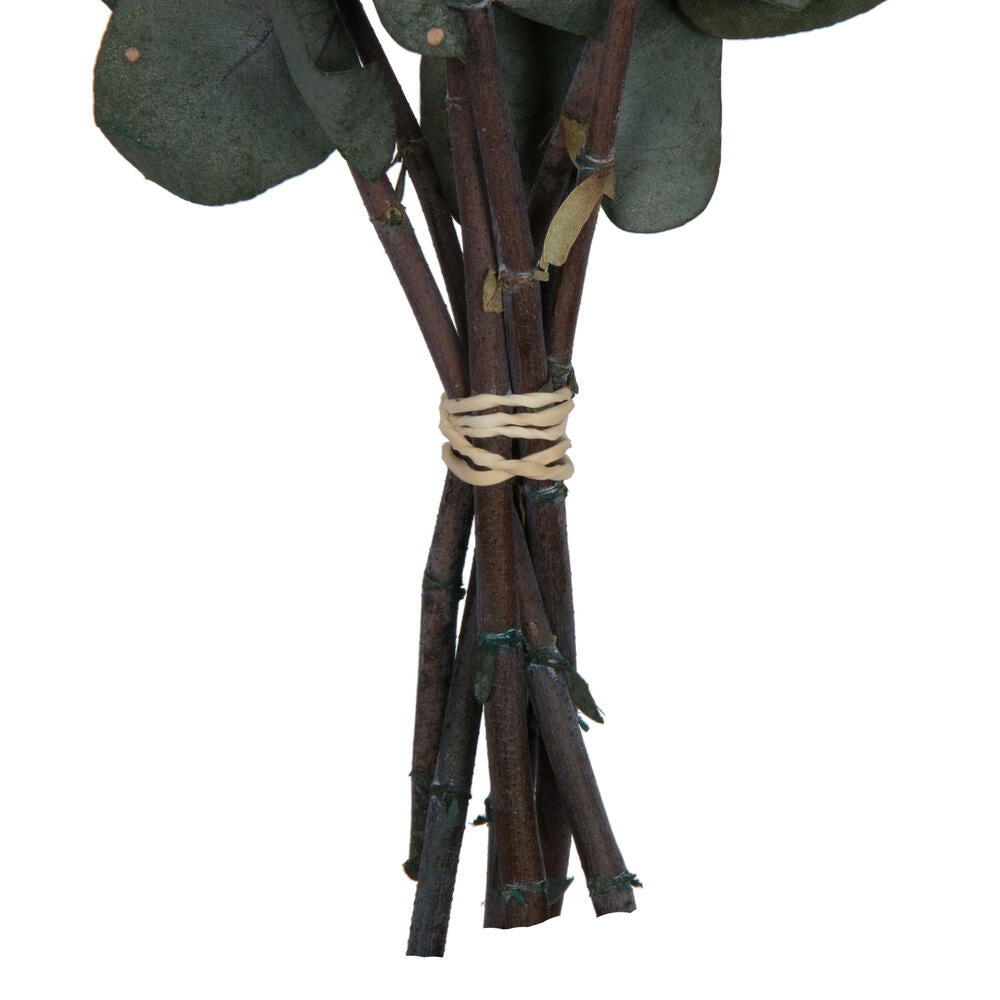 Vickerman Natural Botanicals 18-20" x 9" Eucalyptus Spiral Green 100 grams per bunch