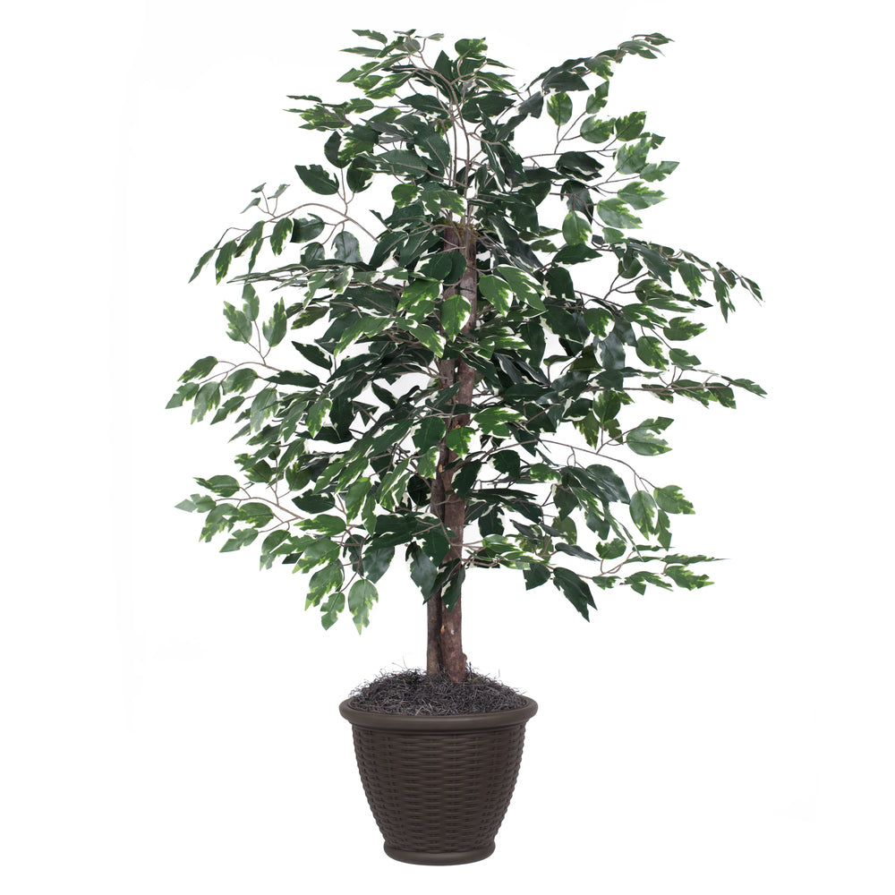 Vickerman 4' Artificial Variegated Ficus Bush Brown Plastic Container.