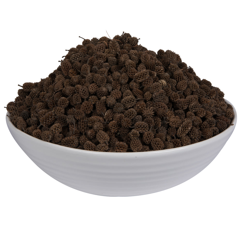Vickerman Natural Botanicals 0.6" Casurina. Includes 8.8 Lbs per Pack