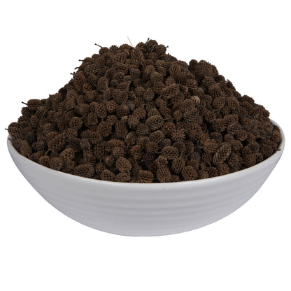 Vickerman Natural Botanicals 0.6" Casurina. Includes 8.8 Lbs per Pack