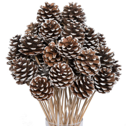 Vickerman Natural Botanicals 20" Blue Pine White Tip on Stem. Includes 50 Stems per Pack.