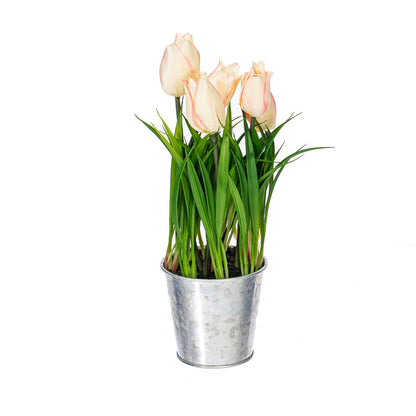 Vickerman 10.5" Artificial Assorted Set of Tulips in Metal Pot.
