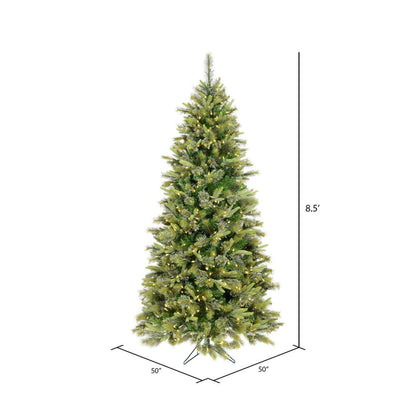 Vickerman 8.5' Cashmere Slim Artificial Christmas Tree Warm White Dura-Lit® LED Lights