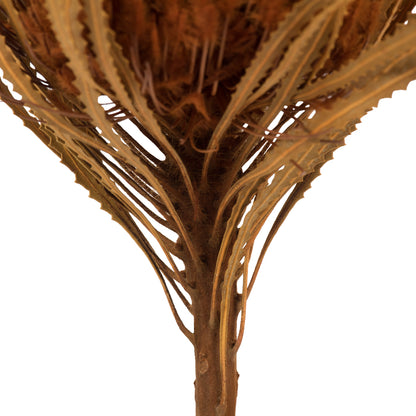 Vickerman 12" Autumn Banksia Flower with dyed foliage. Includes 25 Stems per Pack. Dried