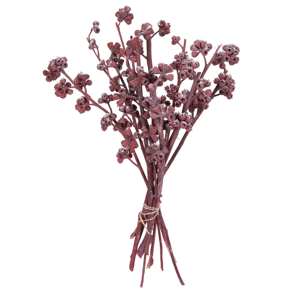 Vickerman Natural Botanicals 13" x 1-3" Red Gum Branch Red Frosted 14 stems per unit