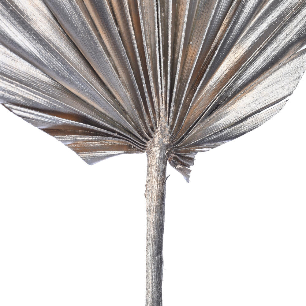Vickerman Natural Botanicals 15.75 - 19.5" Metallic Champagne Dried Palm 12 per bag.