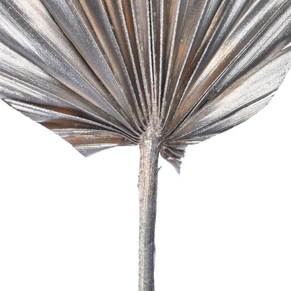 Vickerman Natural Botanicals 15.75 - 19.5" Metallic Champagne Dried Palm 12 per bag.
