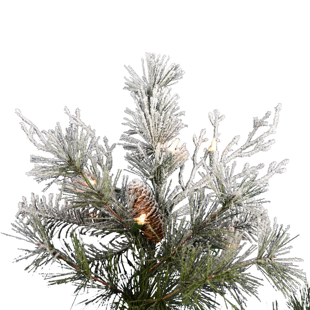 Vickerman 12' x 95" Flocked Cheshire Artificial Christmas Tree Clear Dura-Lit® Mini Lights