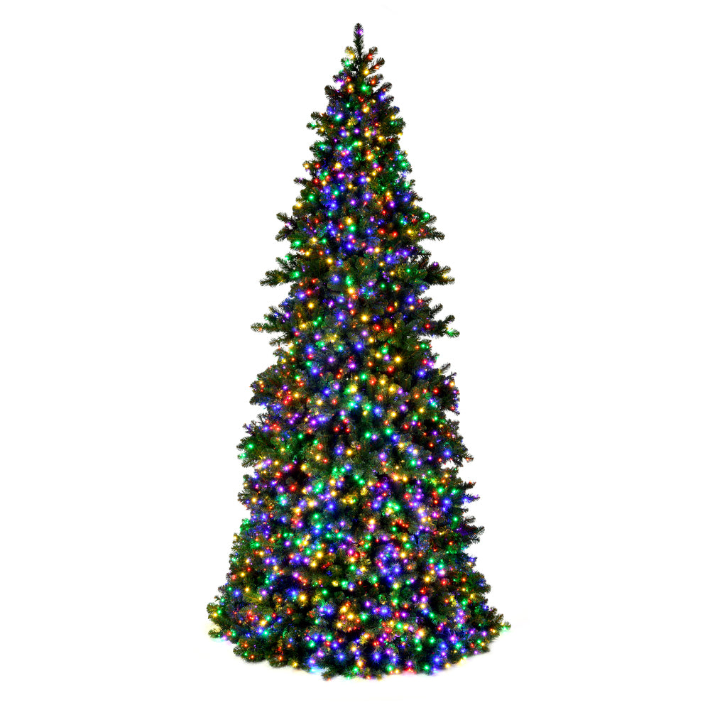Vickerman 24' x 106" Artificial Pre-Lit Slim Grand Teton Frame Tree with LED Multi-Colored 5mm Single Mold Lights