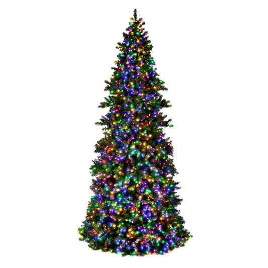 Vickerman 24' x 106" Artificial Pre-Lit Slim Grand Teton Frame Tree with LED Multi-Colored 5mm Single Mold Lights