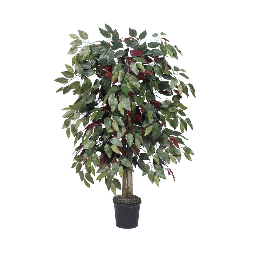 Vickerman 4' Artificial Capensia Bush Black Plastic Pot.