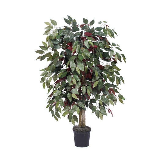 Vickerman 4' Artificial Capensia Bush Black Plastic Pot.
