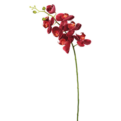 Vickerman 35" Magenta Real Touch Orchid Artificial Floral Stem