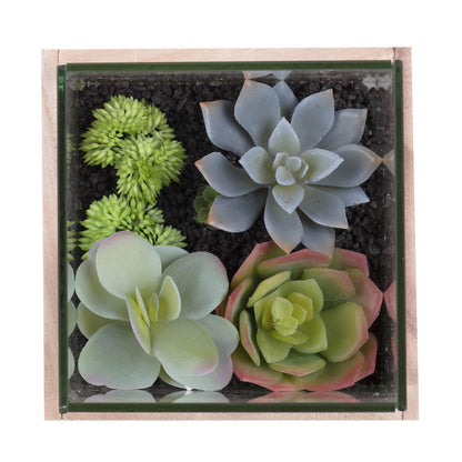 Vickerman 6" Artificial Green Assorted Succulents in Wood Container and Glass Top.