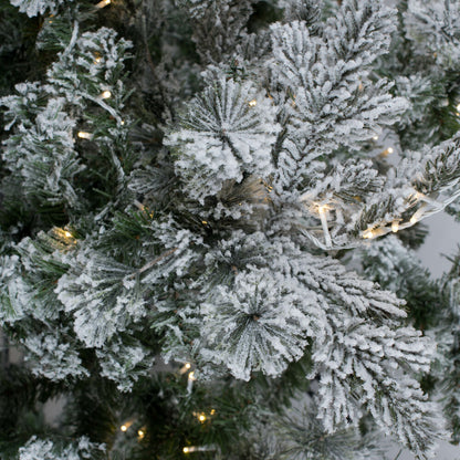 Vickerman 6.5' Flocked Sierra Fir Artificial Christmas Tree with Pure White Single Mold LED lights