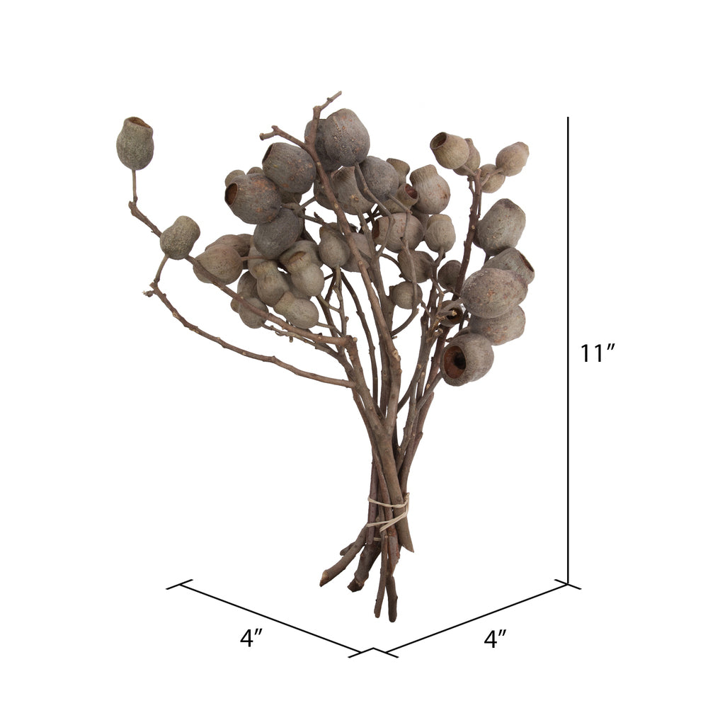 Vickerman Natural Botanicals 11" x 4" Bellgum Branch 5-7 Bells 10 stems per unit