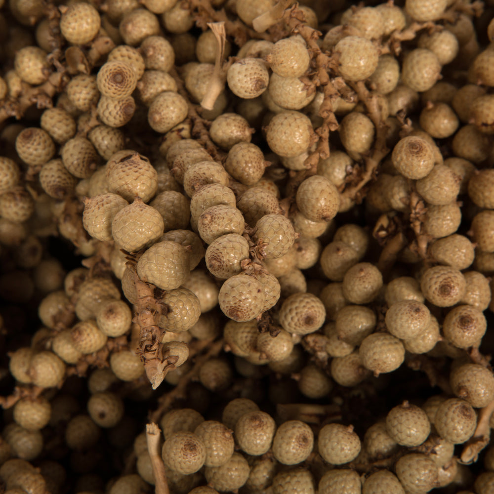 Vickerman Natural Botanicals Canella Cobs Natural 2.2 Lb Bag This is a dried preserved natural product.