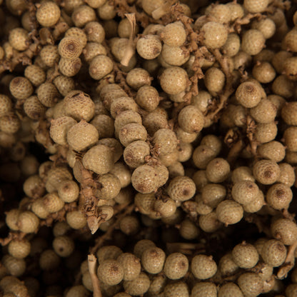 Vickerman Natural Botanicals Canella Cobs Natural 2.2 Lb Bag This is a dried preserved natural product.