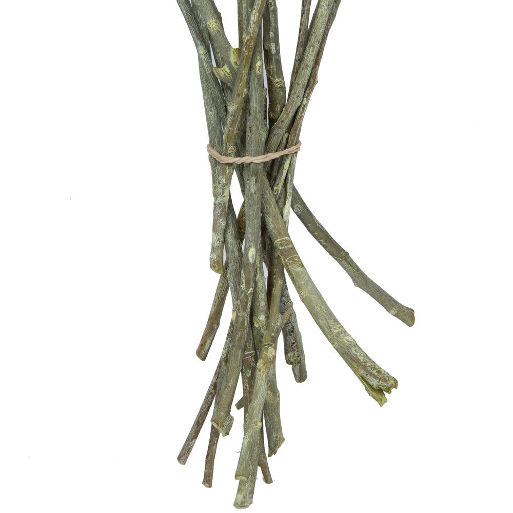 Vickerman Natural Botanicals 12" x 1-3" Eucalyptus Clusters on stem green frosted 16 stems per unit