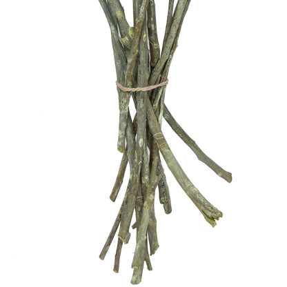 Vickerman Natural Botanicals 12" x 1-3" Eucalyptus Clusters on stem green frosted 16 stems per unit