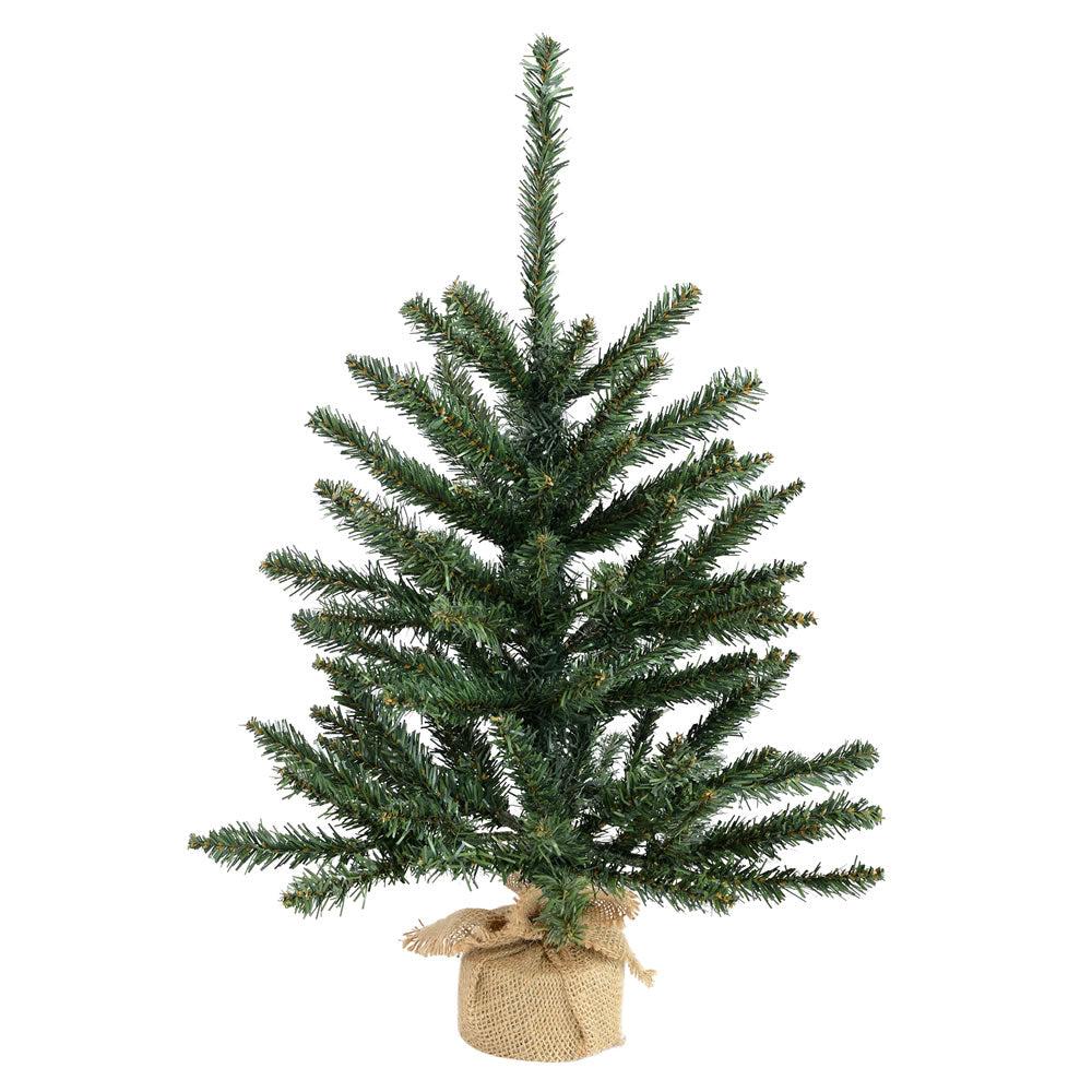 Vickerman 24" Anoka Pine Artificial Christmas Tree Unlit