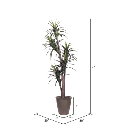 Vickerman 6' Artificial Marginata Executive Tree Brown Round Plastic Container.