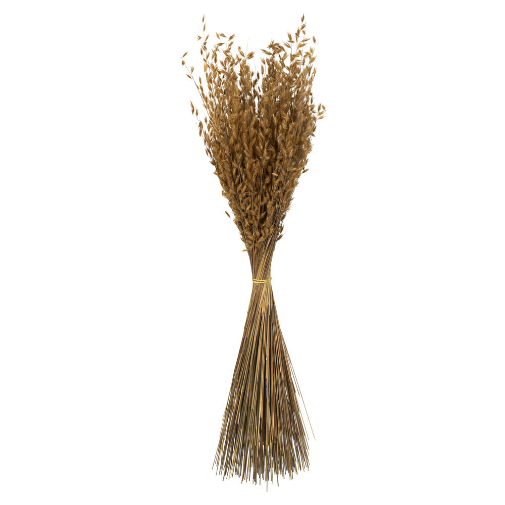 Vickerman 30" Natural Princess Grass 3 per pack Dried