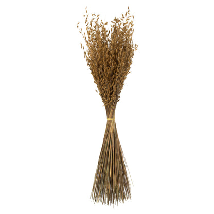Vickerman 30" Natural Princess Grass 3 per pack Dried