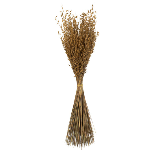 Vickerman 30" Natural Princess Grass 3 per pack Dried