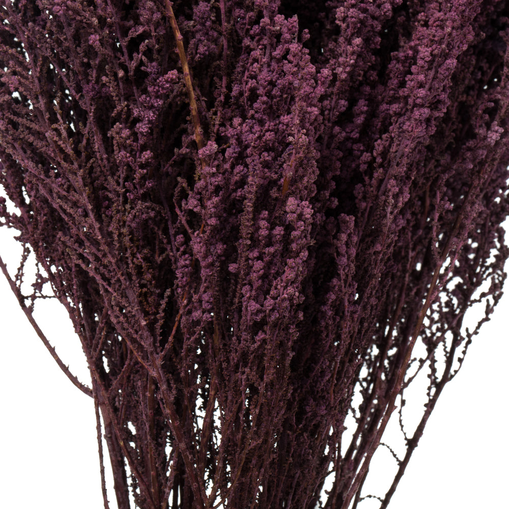 Vickerman 14-18" Violet  Stoebe Bundle