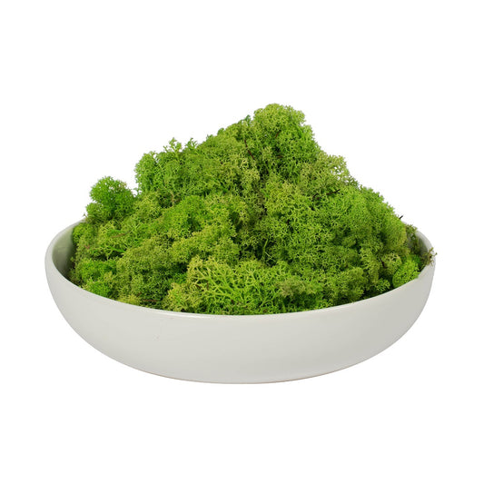 Vickerman Natural Botanicals 9 lb. Apple Green Reindeer Moss. This is a natural and preserved product.