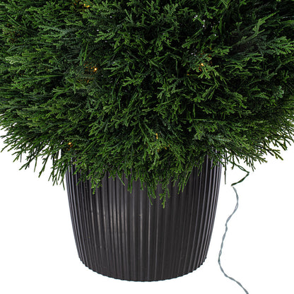 Vickerman Artificial 36" High x 20" Wide Cedar Teardrop Shaped Bush Warm White 3mm LED Lights.