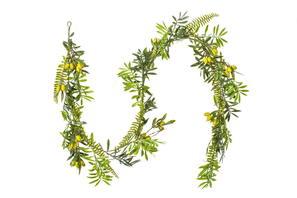 Vickerman 6' Artificial Mixed Olive Leaf Garland