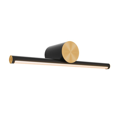 Dals Lighting Color Temperature Changing 2-Tone, Borealis, Aria And Noble Two Vanity Light - 24"/36 - 120V