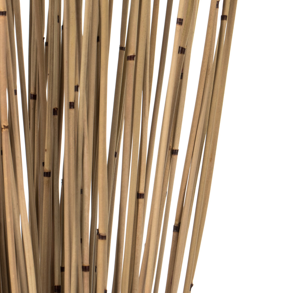 Vickerman 30" Natural Marsh Reed bundle tied with rafia 10 oz Dried