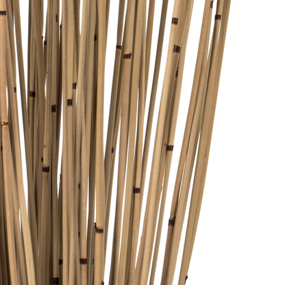 Vickerman 30" Natural Marsh Reed bundle tied with rafia 10 oz Dried