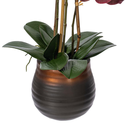 Vickerman 22" Artificial Potted Real Touch Purple Phalaenopsis Spray.
