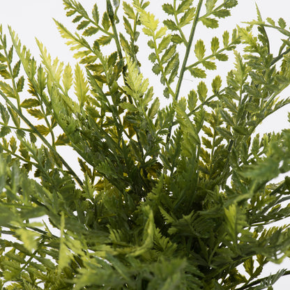 Vickerman 18" Artificial Green Boston Fern Bush.