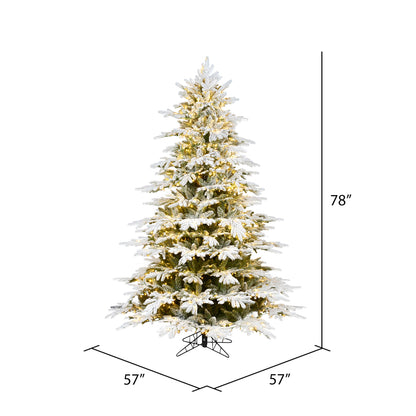 Vickerman 6.5' x 57" Flocked Kamas Fraser Artificial Christmas Tree Multi-color Dura-Lit® LED Mini Lights